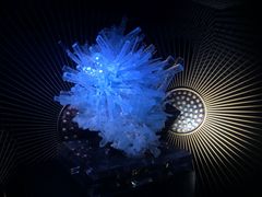 -深圳珠宝博物馆