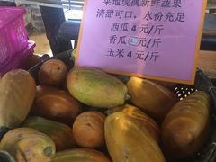 -园林美食城·本土农家菜(杨和镇店)