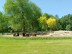 -北京野生动物园