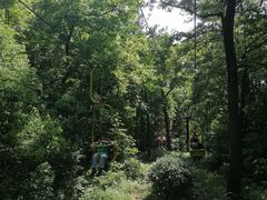 -WeLope紫金山探险公园