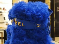 -CHANEL(ifs国际金融店)