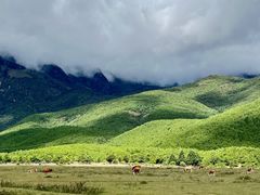 -玉湖村