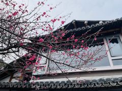 -温州永嘉书院
