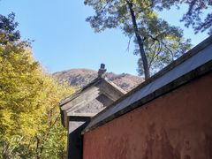 -北京上方山国家森林公园