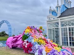 -杭州湾海上花田景区