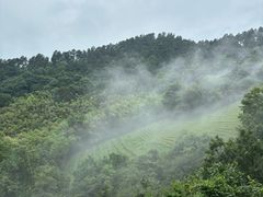 -敬亭山风景名胜区