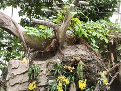 -北京植物园-展览温室