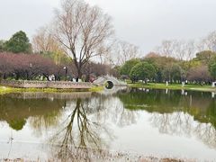 -橘子洲景区