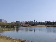 -武汉园博园(武汉自然博物馆)