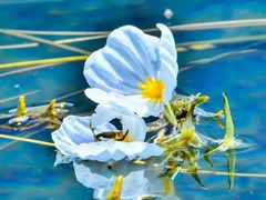 -丽江泸沽湖景区