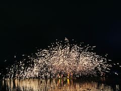 -长田漾湿地公园