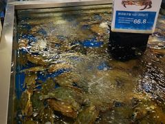 -盒马X会员店(上海森兰商都店)