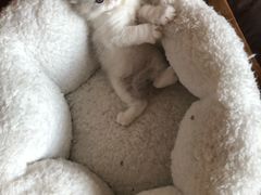 -火星工厂狼人·剧本桌游轰趴馆·自助酒吧(滨江店)