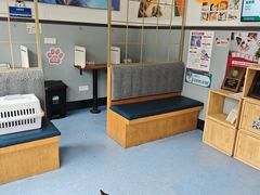 -伟伟宠物医院·瑞派猫友好医院·猫科(光谷店)