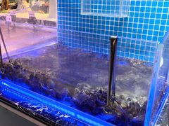 -皇家5号海鲜烤肉火锅自助餐(聊城总店)