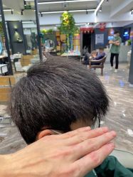 -藤野造型