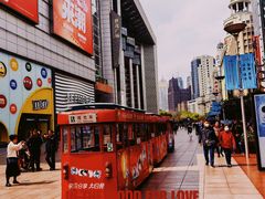 -新雅粤菜馆(南京东路店)