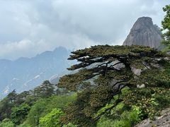 -黄山风景区