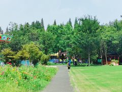 -东平国家森林公园