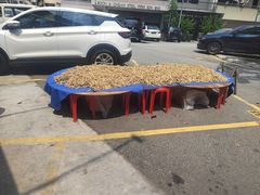 -新峰肉骨茶