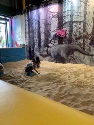 -恐龙探索乐园(磁器口店)