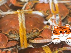 大闸蟹-渔娘蟹庄(阳澄湖莲花岛店)