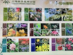 -上海共青森林公园