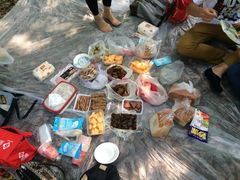 iphone_upload_pic-昆山城市生态森林公园