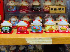 -猫咪博物馆(顶澳仔猫街店)