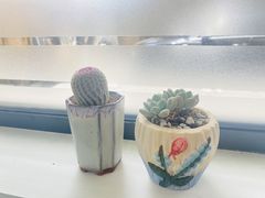 -曲阳花鸟市场(曲阳路店)