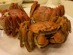 android_upload_pic-王宝和酒家(黄浦店)