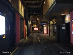 -万达影城(闵行颛桥万达广场杜比影院店)