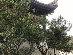 -屈原故里文化旅游区