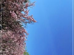 -海棠花溪(元大都城垣遗址公园)
