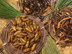 -昆虫窝子·特色云南菜(拓东路总店)