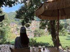 -杨家堂村