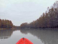 -上海海湾国家森林公园