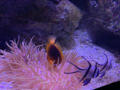 -成都浩海立方海洋公园