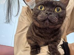 -和它·交个朋友·狗咖猫咖(爱琴海店)