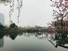 -无锡蠡湖国家湿地公园-蠡园