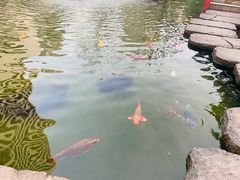 -广州花园酒店