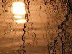 -八大山人梅湖景区