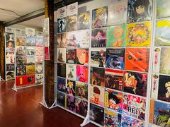 -树懒黑胶唱片店(中山路店)