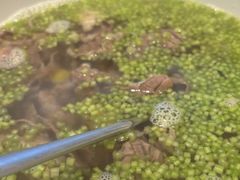 -百盛·鼎膳(中海财富中心)