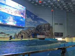 -福州罗源湾海洋世界旅游区