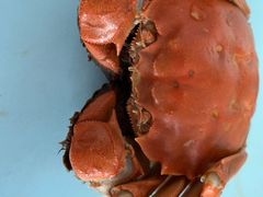 -盒马鲜生(曜一城店)