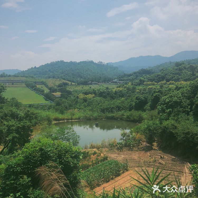 藏在山里的奇妙农庄