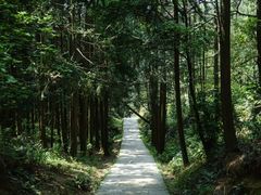 -大罗山风景区