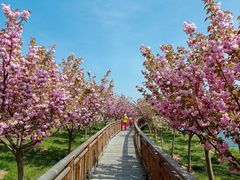 -羊亭河湿地公园