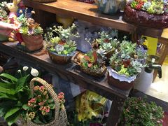 -万商花鸟市场